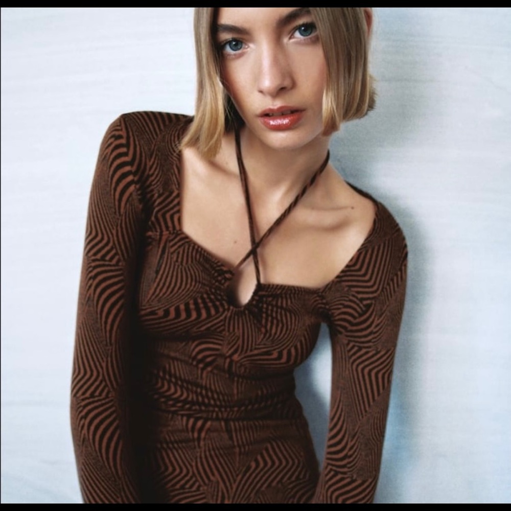 Zara Knit Dress